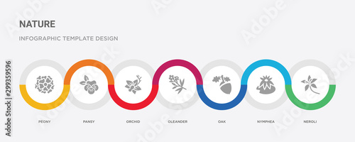 7 filled icon set with colorful infographic template included neroli, nymphea, oak, oleander, orchid, pansy, peony icons