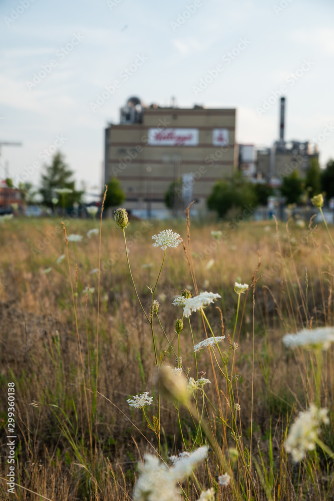 Fototapeta premium Bremen