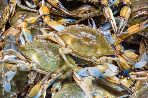 Φωτογραφία Blue crabs for sale at the the DC Fish Market on Maine Ave SW in Washington, DC