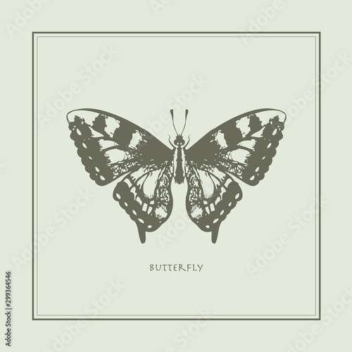 Butterfly on a beige background in a realistic style. Drawn. Perfect for printing, interior, poster, brand, wall painting, printing on clothes, furniture items. Vector illustration.