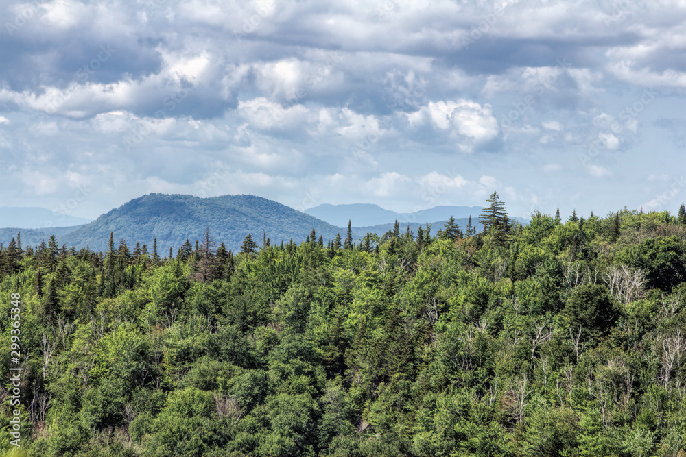 View from Vermont Peak