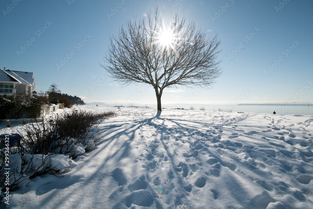 Obraz premium Hiking at snowy Crescent beach in Vancouver
