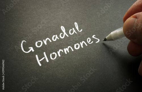 Gonadal hormones handwritten on the black page. photo