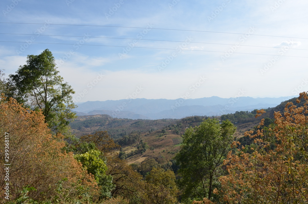 Montañas y bosque