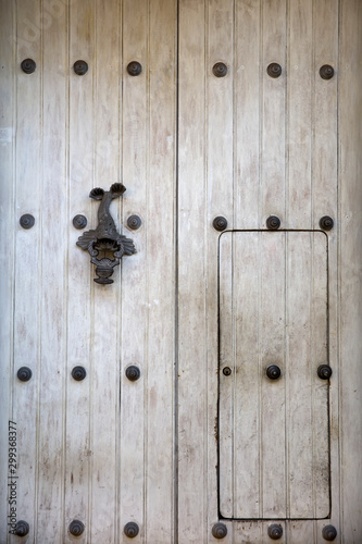 Historic fish door knocker ...