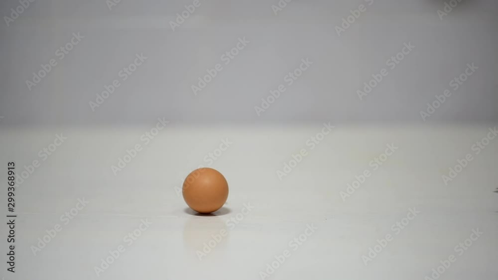 Egg with Bird Egg with Bird