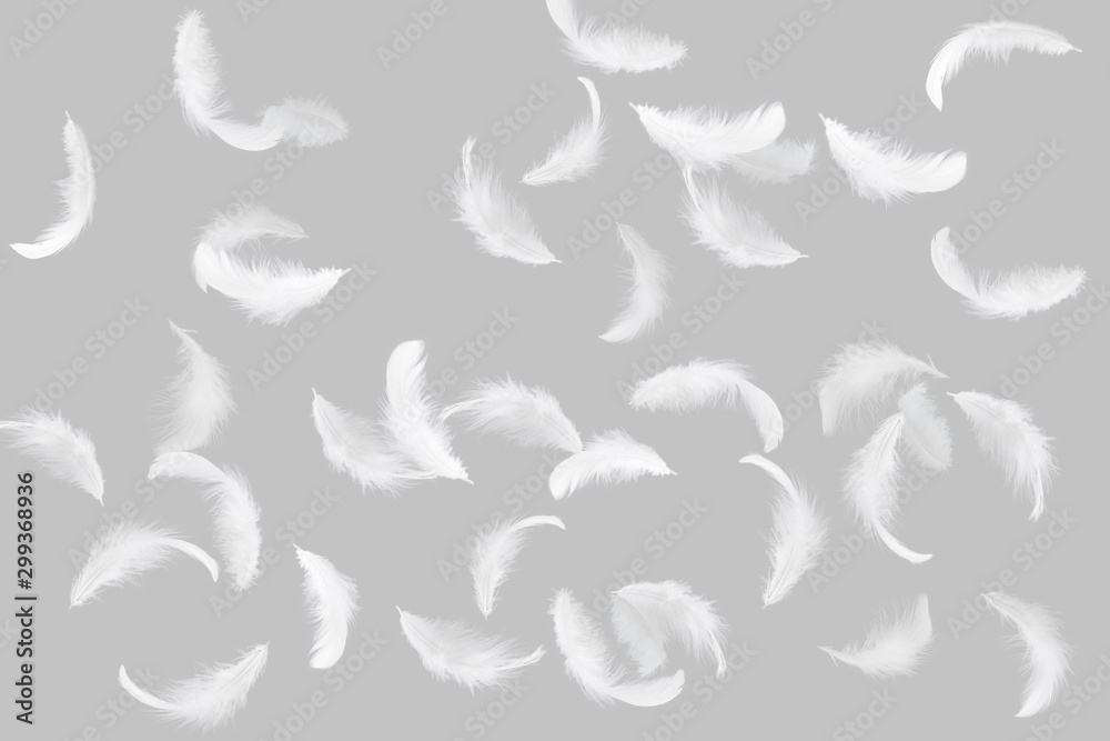 Fototapeta premium Soft white feathers floating in the air, grey background