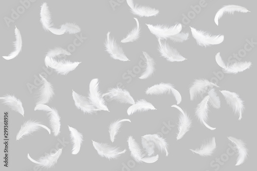 Fototapeta Naklejka Na Ścianę i Meble -  Soft white feathers floating in the air, grey background