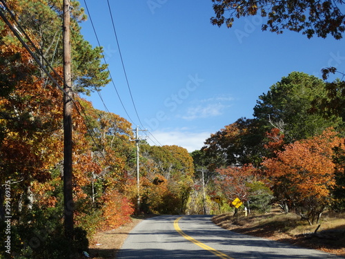 telephone line along colorful country road with fall foliage #2