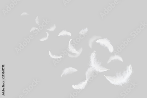 Soft white feathers floating in the air © Siwakorn1933