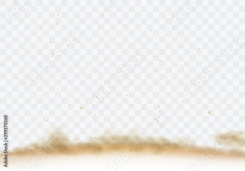 Desert sandstorm, brown dusty cloud border or dry sand flying with gust of wind, brown smoke realistic texture with small particles or grains vector illustration isolated on transparent background