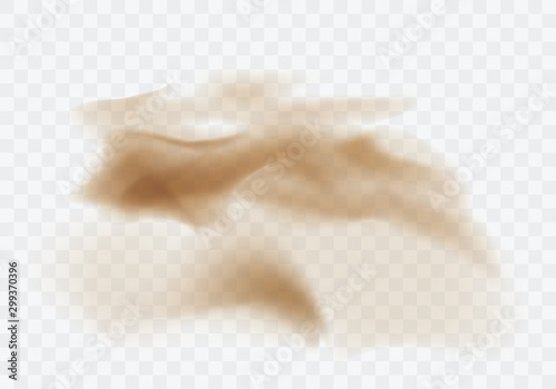 Desert sandstorm, brown dusty cloud or dry sand flying with gust of wind, explosion realistic texture vector illustration isolated on transparent background