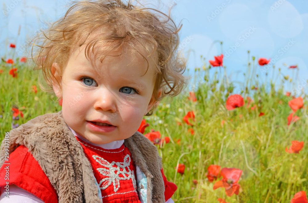 pretty little girl playing in a field of poppies in bloom pretty little girl playing in a field of poppies in bloom