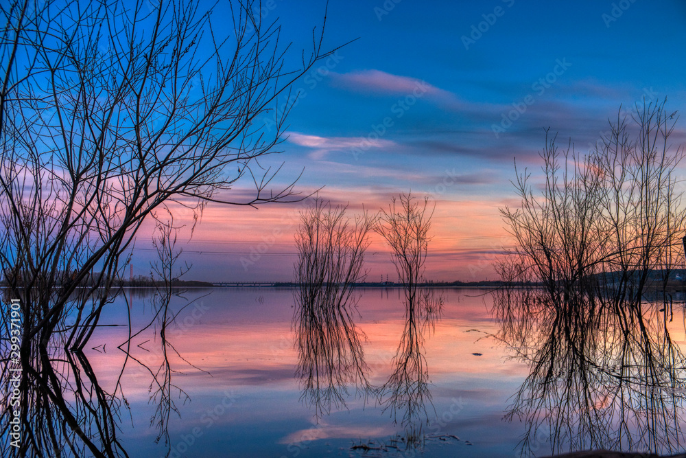 nature nature