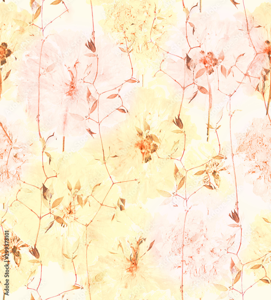 Pressed and dried summer yellow pink flowers on a white pattern Pressed and dried summer yellow pink flowers on a white pattern