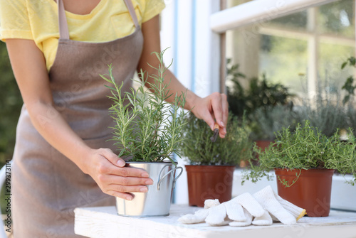 Young woman taking care of home plants at white wooden table outdoors, closeup