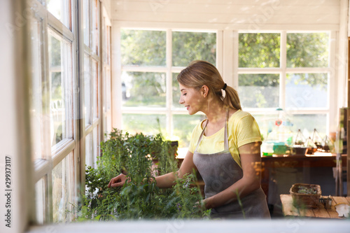 Young woman taking care of home plants in shop, view through window