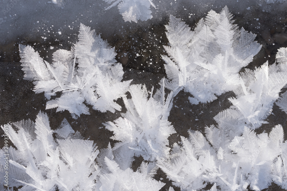 Ταπετσαρία hoarfrost at the surface of a frozen lake