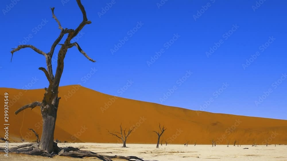 Désert de Sossusvlei en Namibie, Afrique Désert de Sossusvlei en Namibie, Afrique