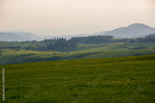 Summer Countryside With Green Meadows