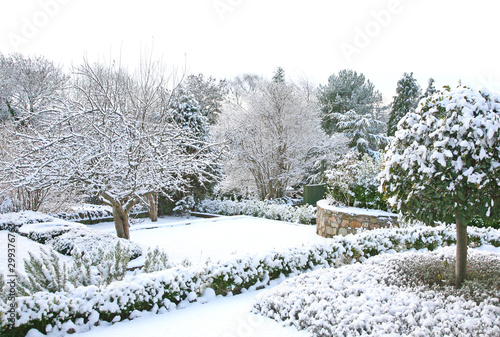 winter garden with snow and trees