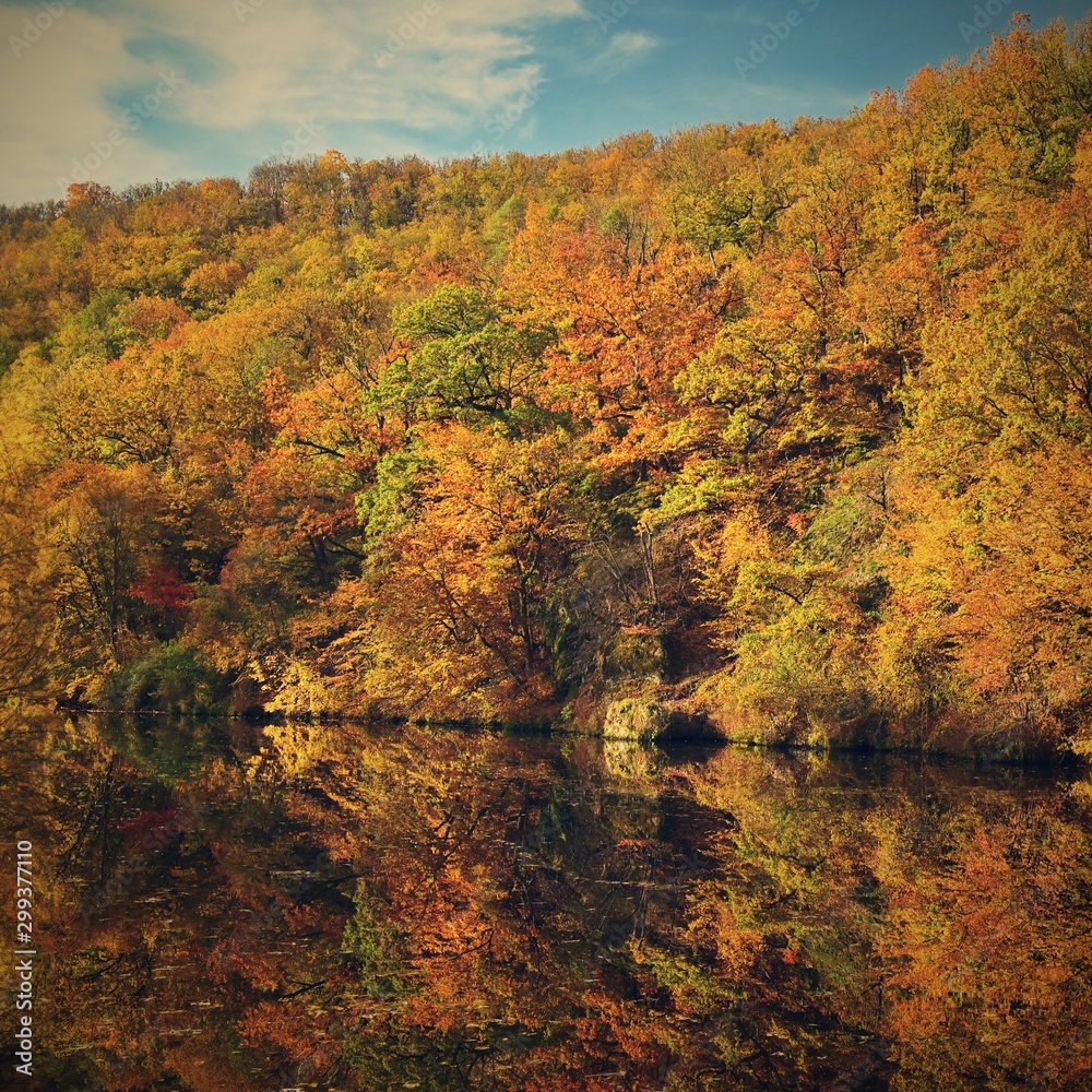 Beautiful autumn landscape. Natural colorful background Beautiful autumn landscape. Natural colorful background