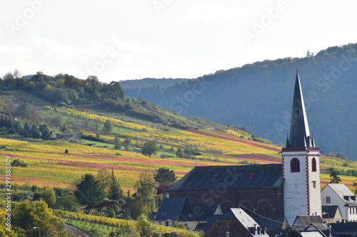 Weindorf Bruttig im Herbst 2019 photo