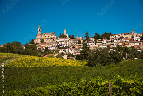 Landscape of Vignale Monferrato  unesco world heritage