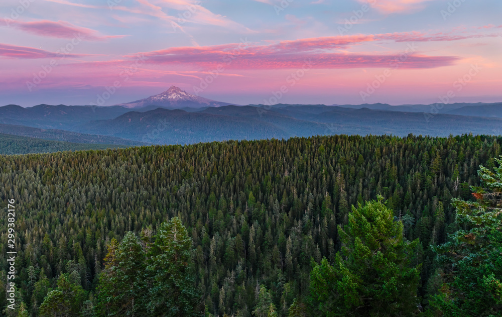 Mount Hood and Forest Sunset