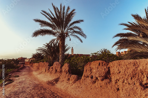 Traditional agriculture in Moroccan oasis