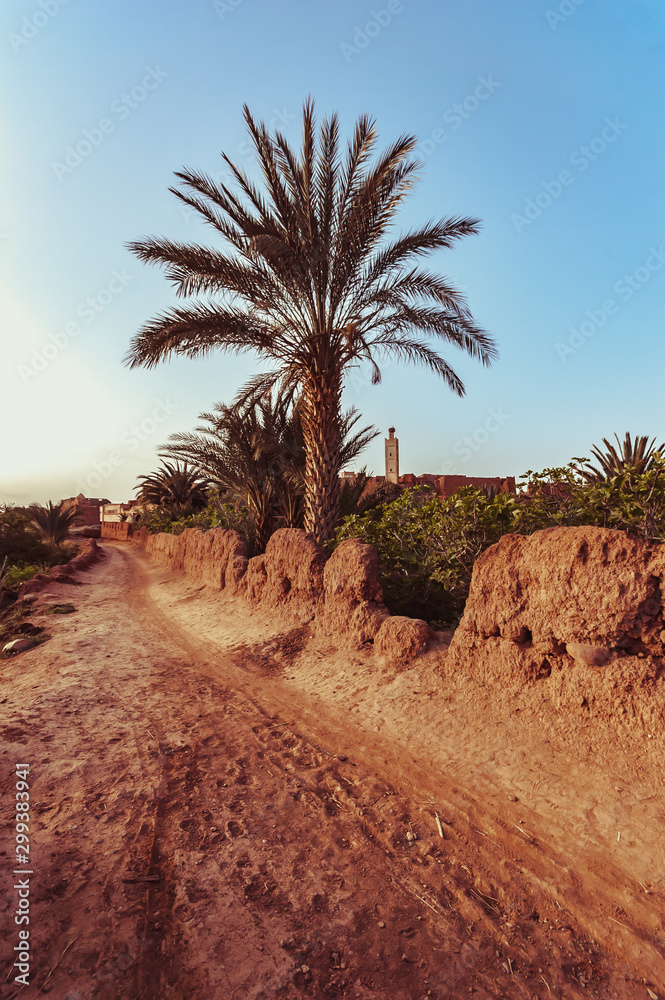 Traditional agriculture in Moroccan oasis Traditional agriculture in Moroccan oasis
