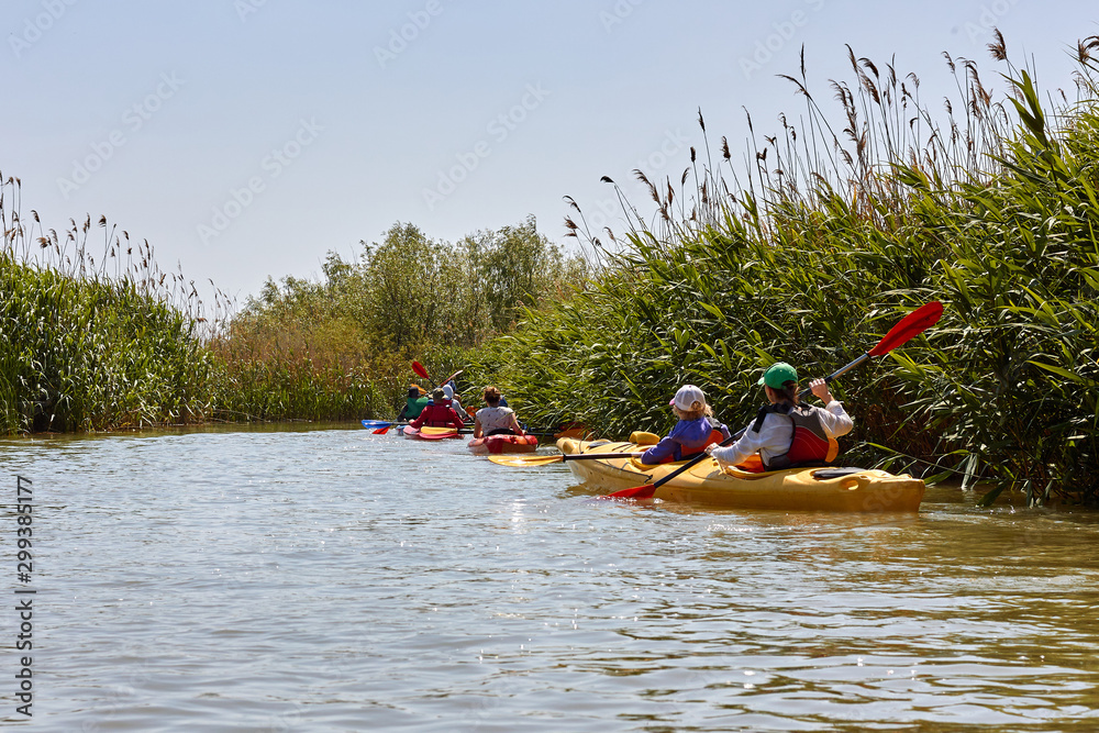 People (friends) kayaking in wild Danube river and lake on biosphere reserve in spring. Concept for friendship, adventure, travel, action, lifestyle and kayaking