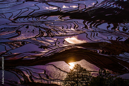 Yuanyang Honghe Hani Reisterrassen Rice terraces paddies Yunnan China  photo