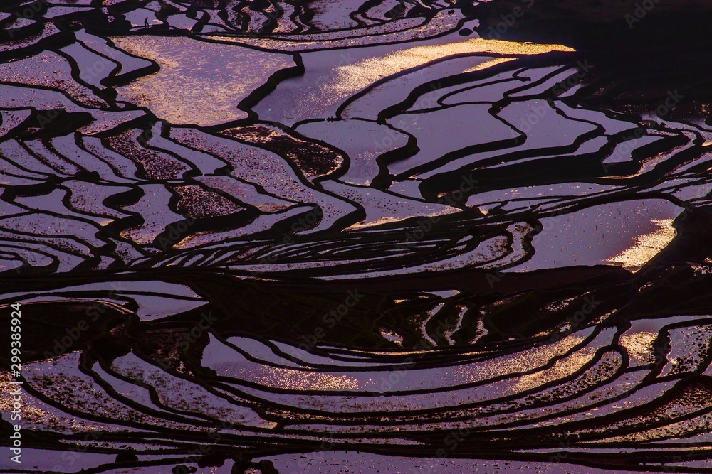 Fototapeta premium Yuanyang Honghe Hani Reisterrassen Rice terraces paddies Yunnan China 