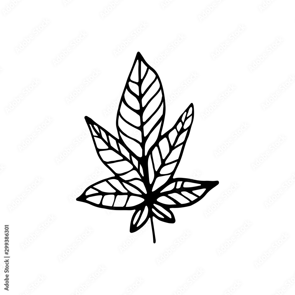 Single hand drawn leaf for winter and autumn decoration. Doodle vector illustration. Isolated on white background Single hand drawn leaf for winter and autumn decoration. Doodle vector illustration. Isolated on white background