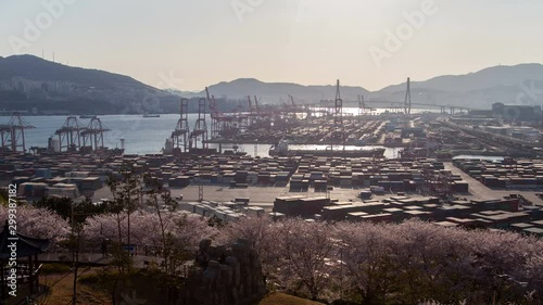 Timelapse Busan cargo port container site with cranes against hill silhouettes and blooming trees on foreground pan up photo