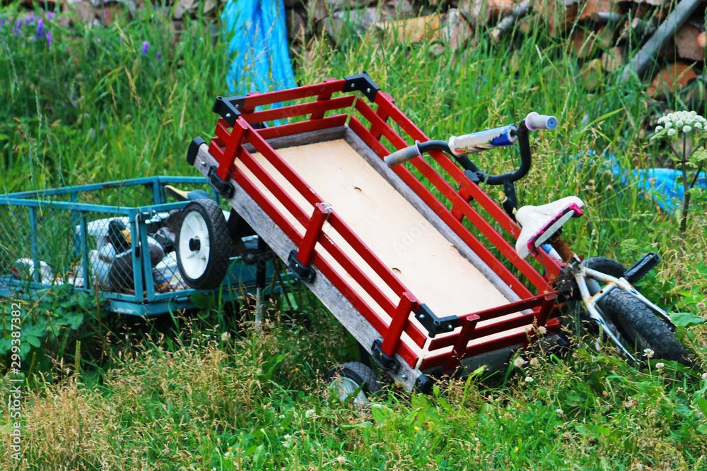 A child's wagon and bicycle, and a small metal container with a duck decoy and other items, discarded in a field. Grass is beginning to overgrow the items. Woodpile in background.