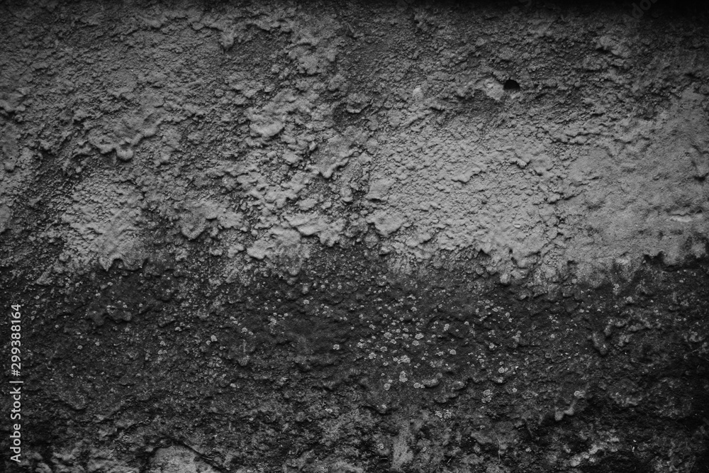 Fototapeta premium Beautiful vintage background. Abstract grunge decorative stucco wall texture. Wide rough background with copy space for text.