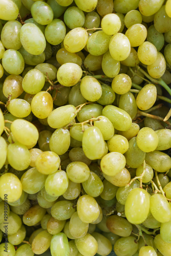 Bunch of yellow white ripe grapes close-up. Harvest the vine. Fruits and healthy eating. Vitamins Bunch of yellow white ripe grapes close-up. Harvest the vine. Fruits and healthy eating. Vitamins
