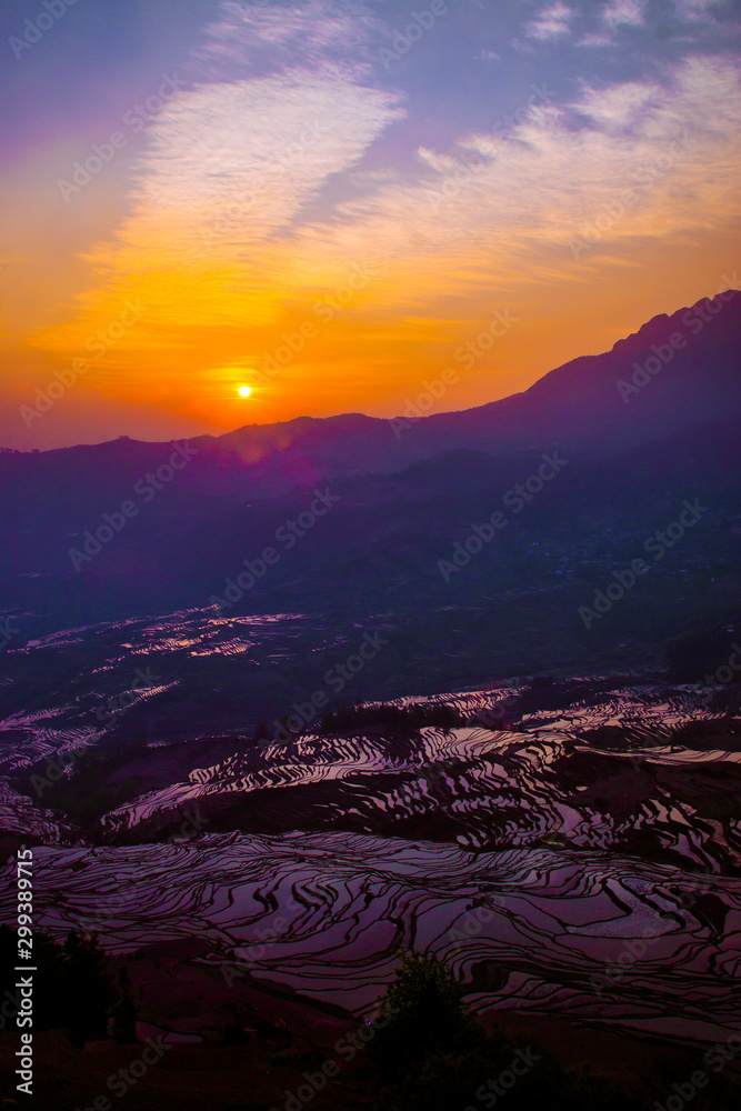 Obraz premium Yuanyang Honghe Hani Reisterrassen Rice Terraces Rice paddies Yunnan China