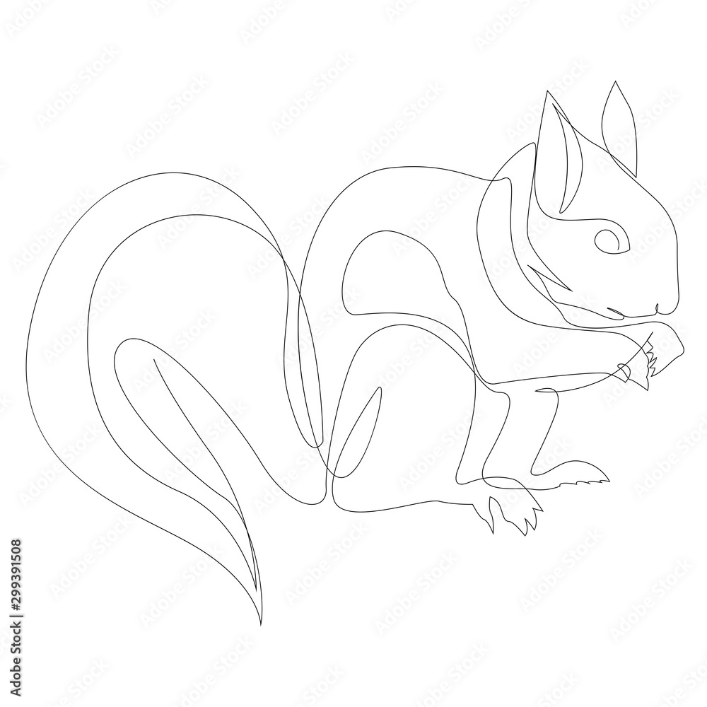 One line squirrel drawing. Squirrel in minimal line style. Vector  illustration Stock Vector | Adobe Stock