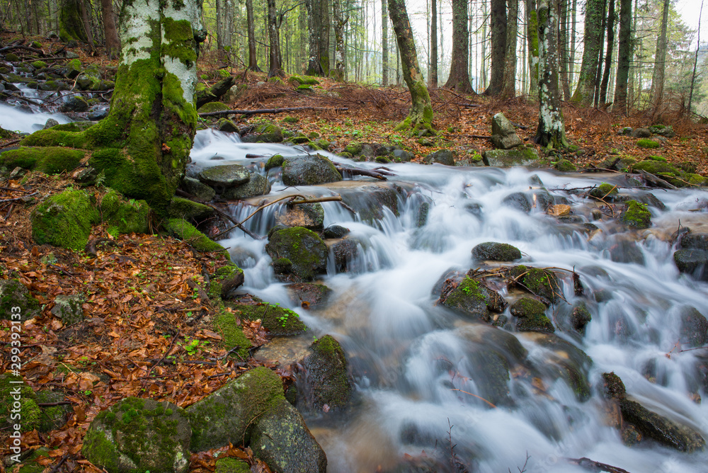 Beautiful creek in autumn forest, moss covered trees and rocks