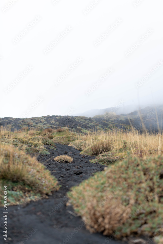 Fototapeta premium Unusual Landscape and Plants Growing on Side of Volcano