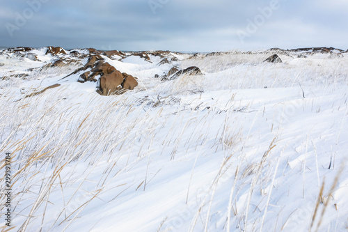 Winter landscape © Tomas