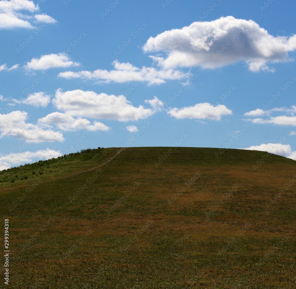 The green grass field landscape on a sunny day. The green grass field landscape on a sunny day.