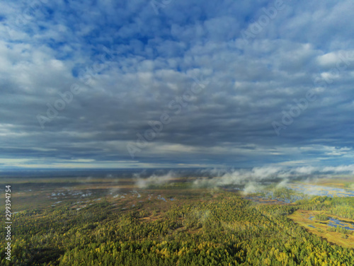 Aerial view, Green forest, Blue cloudy sky, Latvia. Warm autumn day.