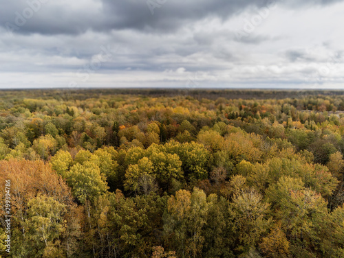 Aerial drone view on a big green forest and blue cloudy sky. Selective focus, Jurmala region of Latvia.