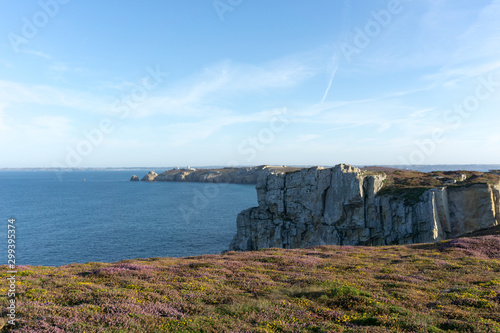 rocky coastal cliffs with lilac heath on the Brittany coast