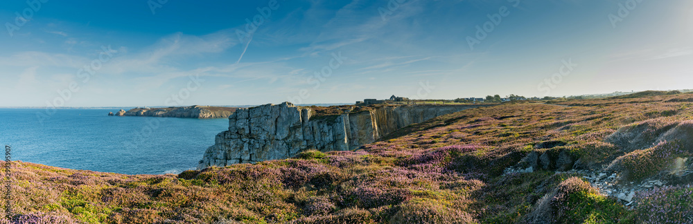 Obraz premium lilac heath meadows and jagged cliffs on the wild coast of Brittany