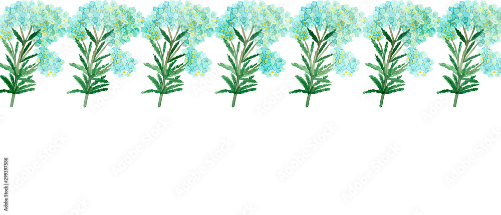 Watercolor hand painted nature romantic banner line composition with blue flower yarrow and green branches and leaves on the white background for invitations and cards with the space for text